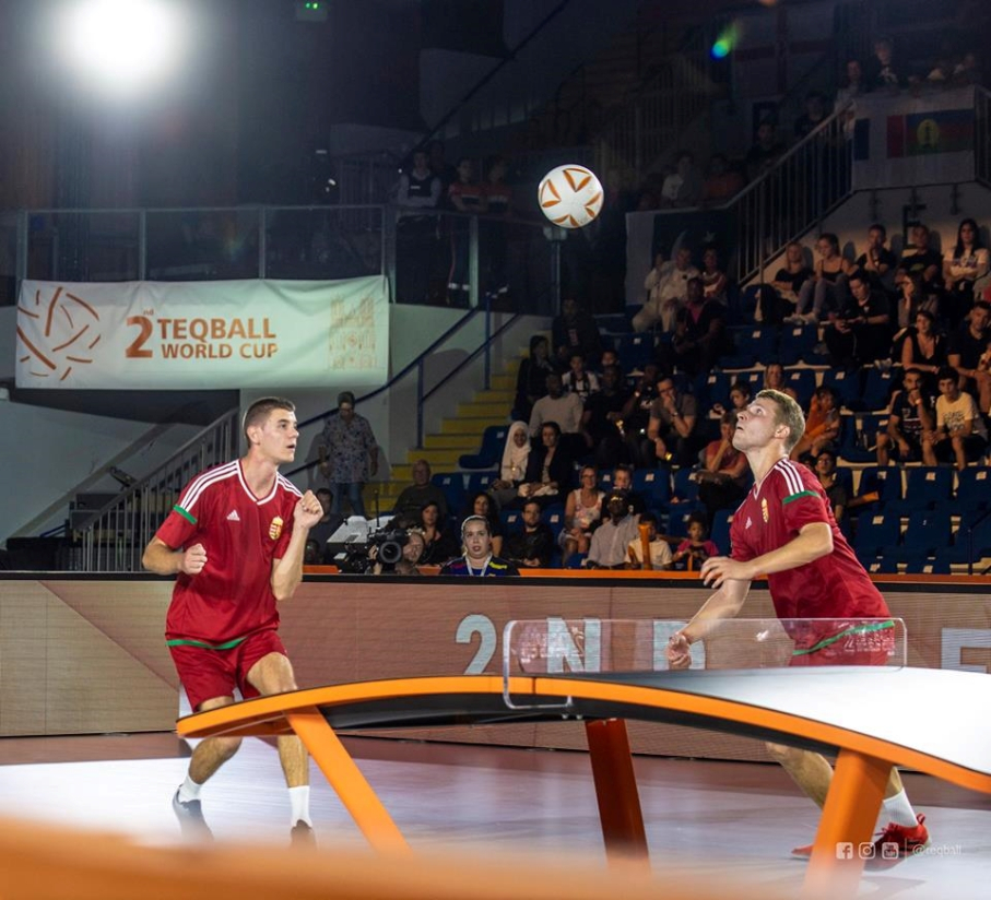 Table de Teqball - TeqOne