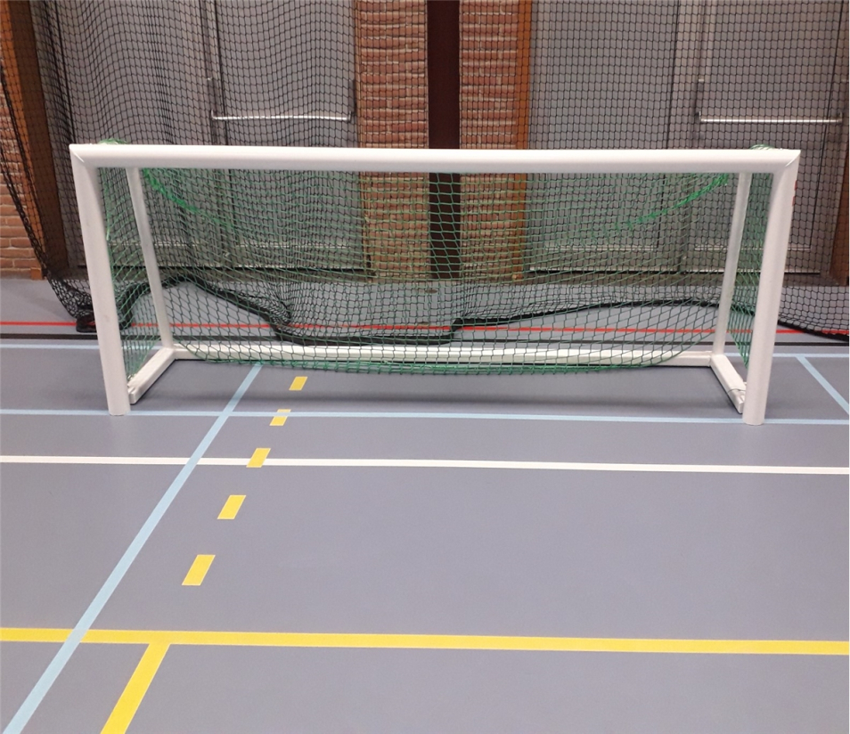 Minivoetbaldoel 250x100cm