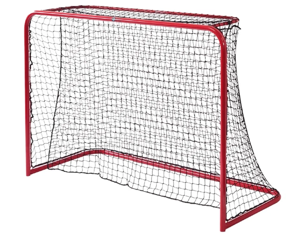 But de compétition street hockey