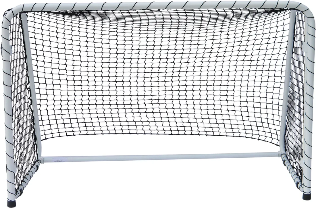 But en acier de floorball / hockey