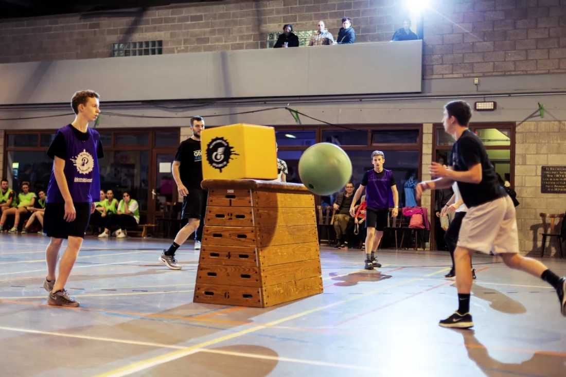 Kit Poull Ball