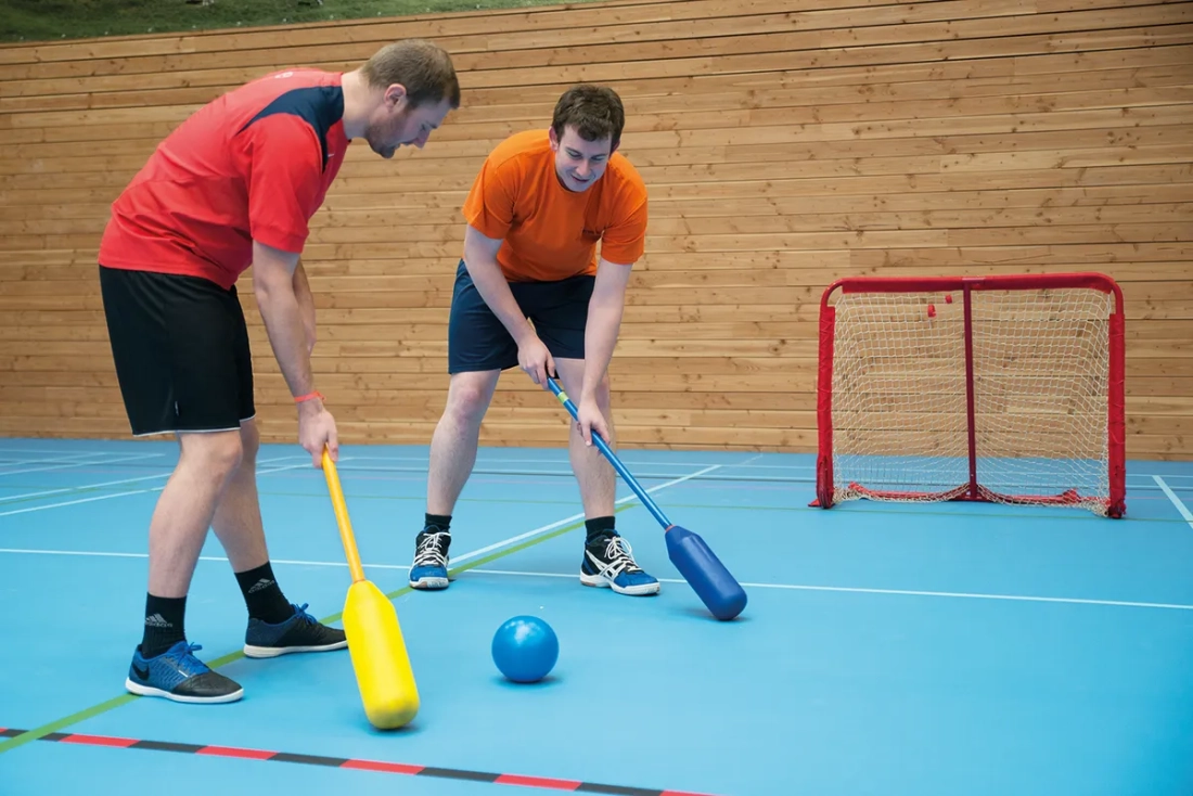 Ball Bouncer set