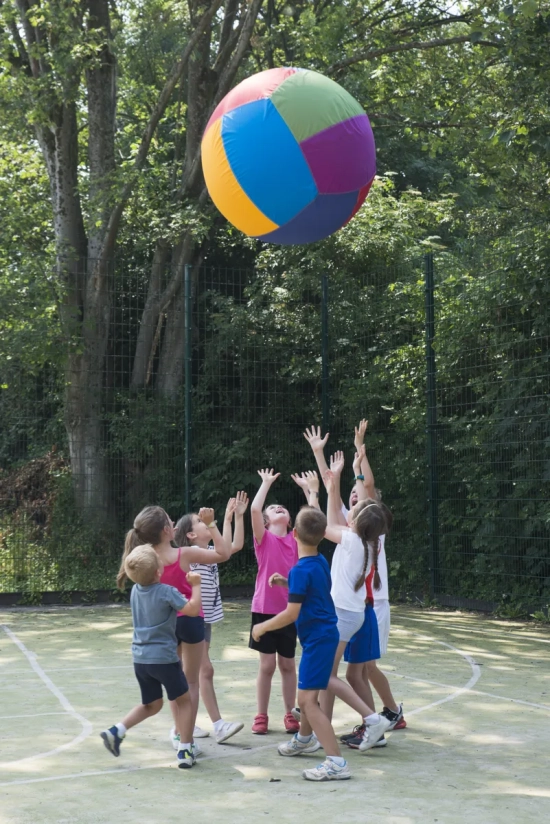 Veelkleurige Spordas-reuzenbal