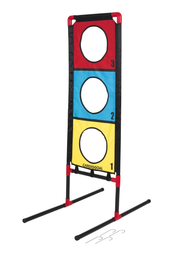 Mini-cardiogoaldoel