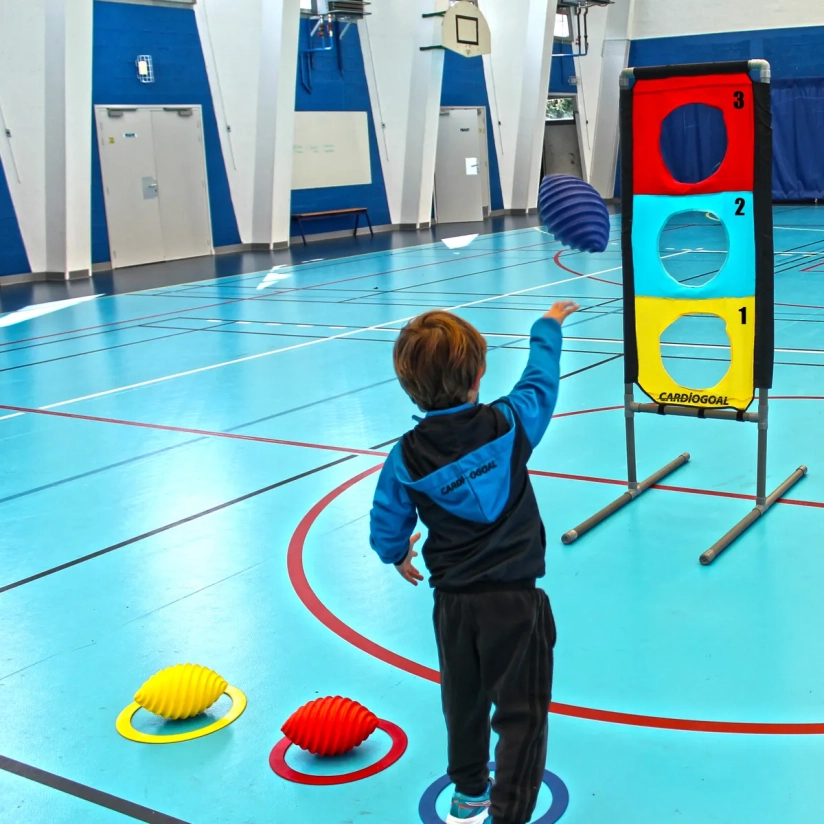 Mini-cardiogoaldoel