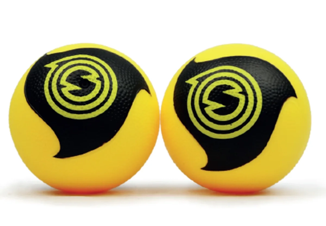 Paire de balles Spikeball Roundnet Pro
