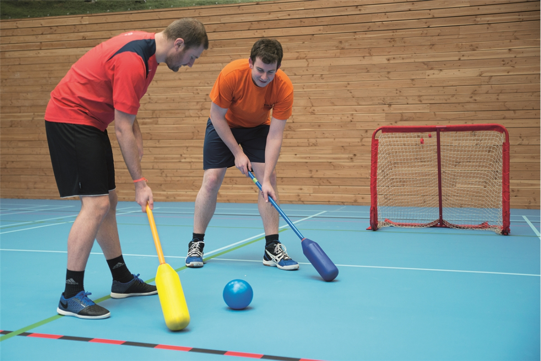 Ball Bouncer set