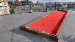Boogle petanquebaan - Corten
