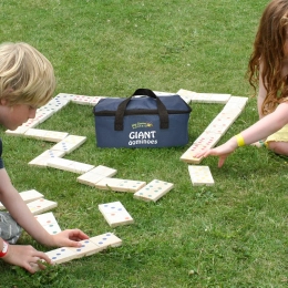 Reuze Domino