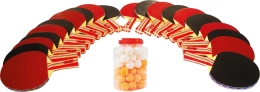 Kit de tennis de table Silver