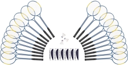 Set van 20 rackets met dubbele steel
