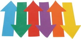 Lot de 6 flèches