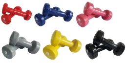 Paire d'haltères fitness