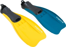 Palmes Lagon