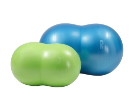 Physio Roll Plus-bal