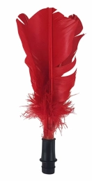 Plume de rechange Indiaca