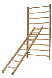 Ladder voor klimraam