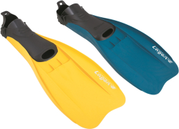 Palmes Lagon