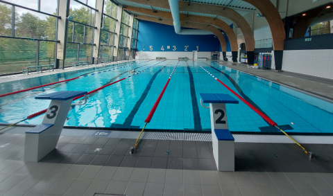 Nouveaux starting-blocks piscine de Visé