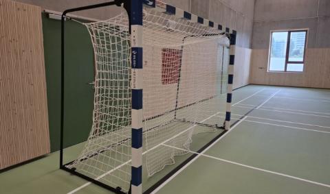 but de handball
